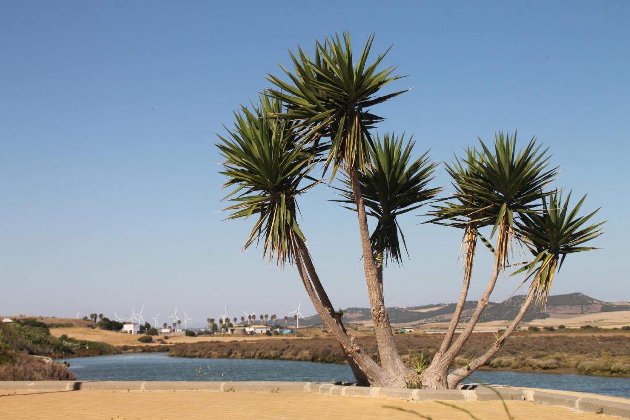 Apartamento Velarde Conil De La Frontera Exteriör bild